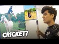 Internet destroys cricket  rip