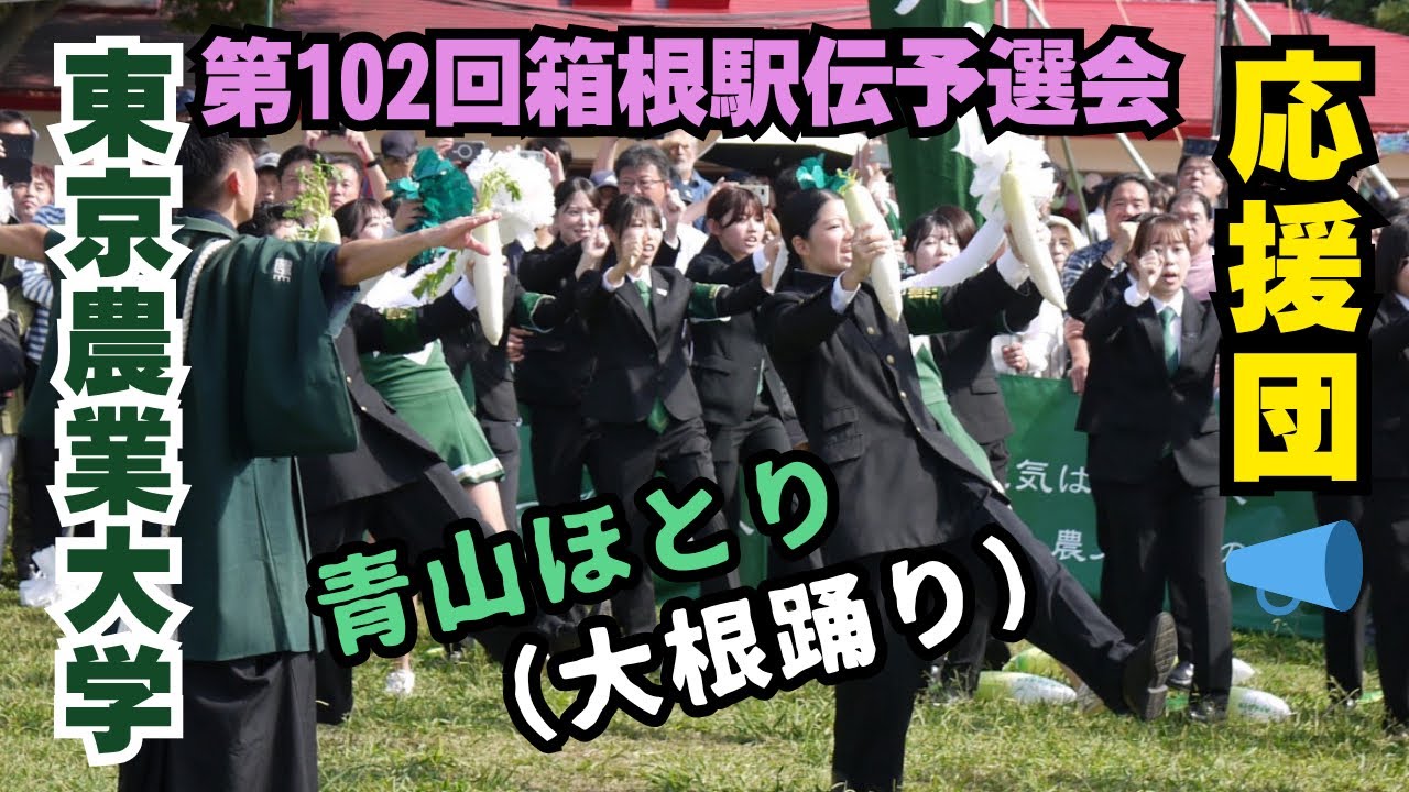 東農大名物・大根踊り(青山ほとり)【第102回箱根駅伝予選会】