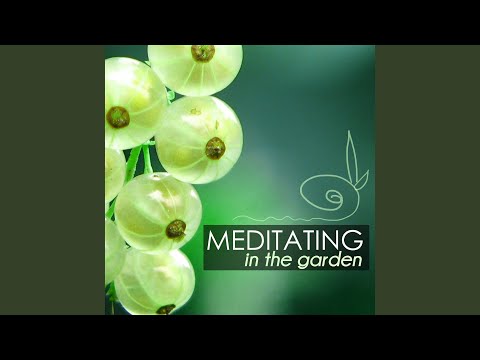 Healing Song