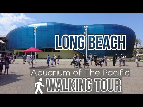 🐠 Aquarium of The Pacific | Long Beach | 4K Walking Tour
