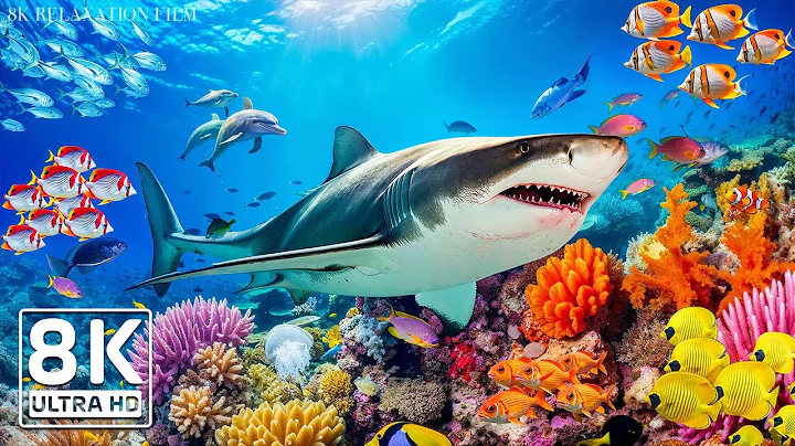 Dive Into the Mesmerizing Underwater Realm🐳 Marvel at Sea Animal in The Best 8K ULTRA HD Aquarium #3