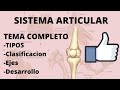 ARTICULACIONES o SISTEMA ARTICULAR MEJOR EXPLICADO | Anatomía