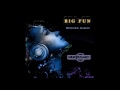 C.C.  Catch - Big Fun Remixed Album (re-cut by Manaev)