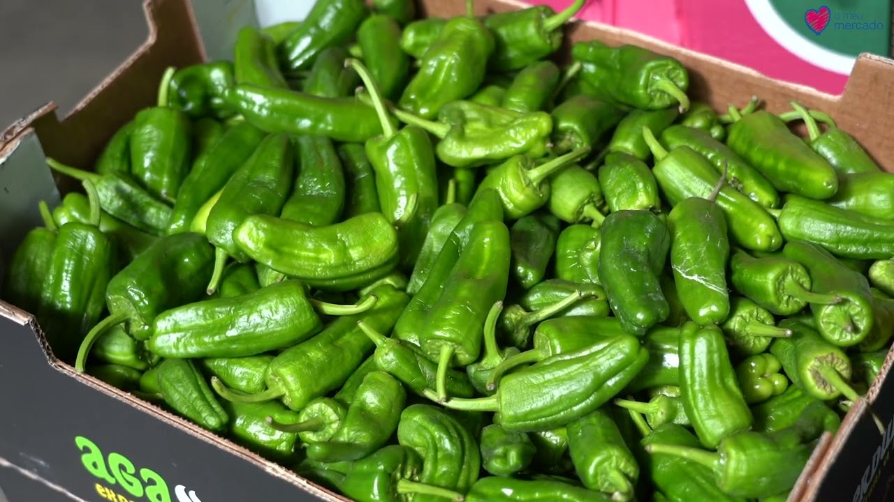 MARB - Centro Logístico do Minho