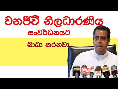 Sanath Nishantha Said The officer From Wildlife Department interrupts the development | Apuru Gossip