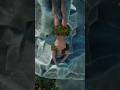 Handstand Frustration Climbing Game A Man Climbs a Rocky Mountain Using Only His Hands #climb