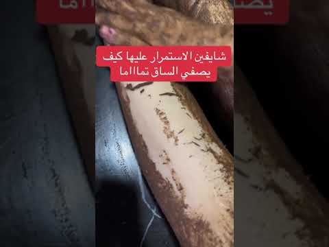 الدلكة السودانية