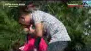 Download Lagu MUSKURANE   NISA PANTURA ft  GERRY NEW PALLAPA TERBARU 2017 LIVE IN DUKOH SUKOLILO MP3