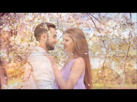 ZZ And De Maskers - A Thousand Violins (Guitar Instrumental Version played by Chris Hampton)