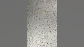 Thrill Pill - Зависимость (snippet 23/04/21)