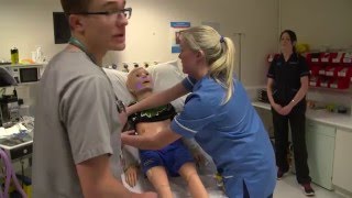 Education - Simulation suite