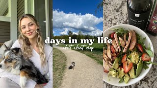 a few days in my life | chit chat vlog , hair loss update , pr unboxings