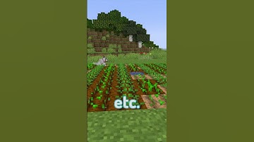 Grow Crops Faster! | #shorts | Did you know Minecraft 1.17