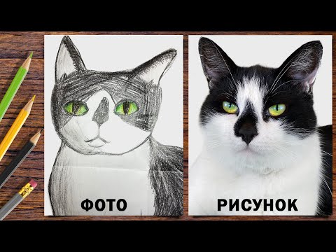 РИСУНКИ от ПОДПИСЧИКОВ! КОТ МАЛЫШ украшает КОМНАТУ 24 ЧАСА **КТО ЧТО ПРИСЛАЛ?**