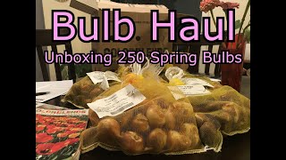 My Flower Bulbs Arrived! Unboxing Spring Flowering Bulbs/Tulip Bulb Haul // garden to de-stress