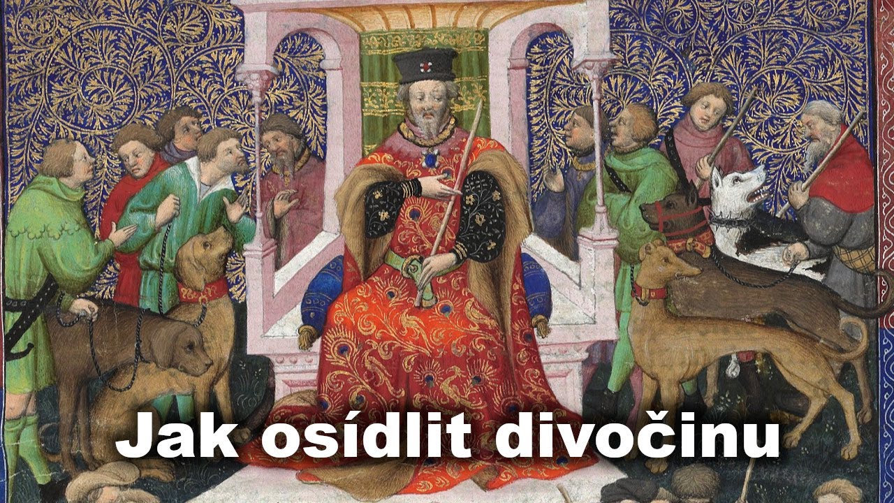 Šlechta a král - kolonizace českého pohraničí ve 13. století