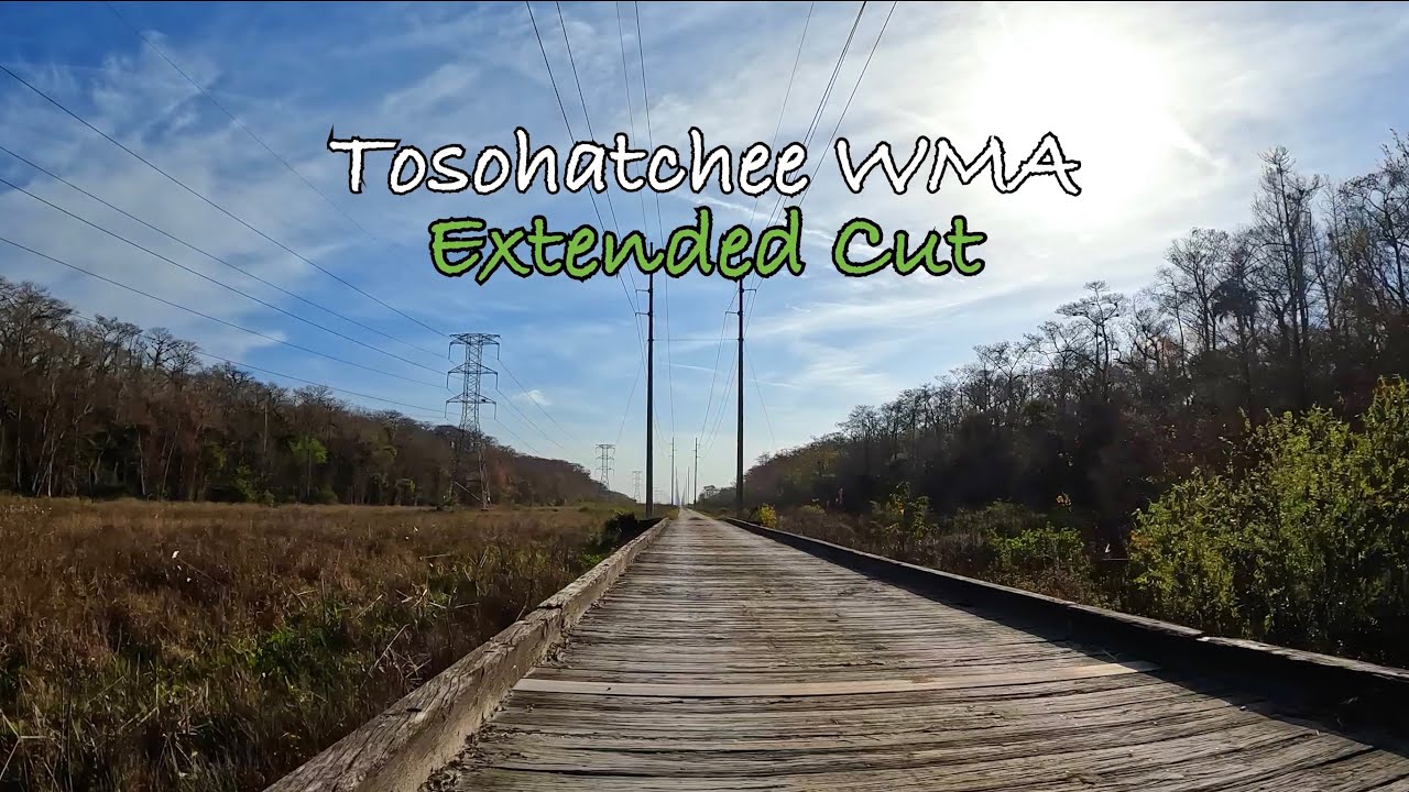 Tosohatchee WMA Bike Ride Extended Cut