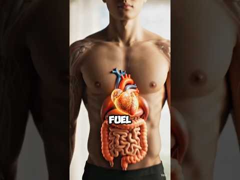 Video What really happens inside your body when you eat avocado in the morning | 3Danimation