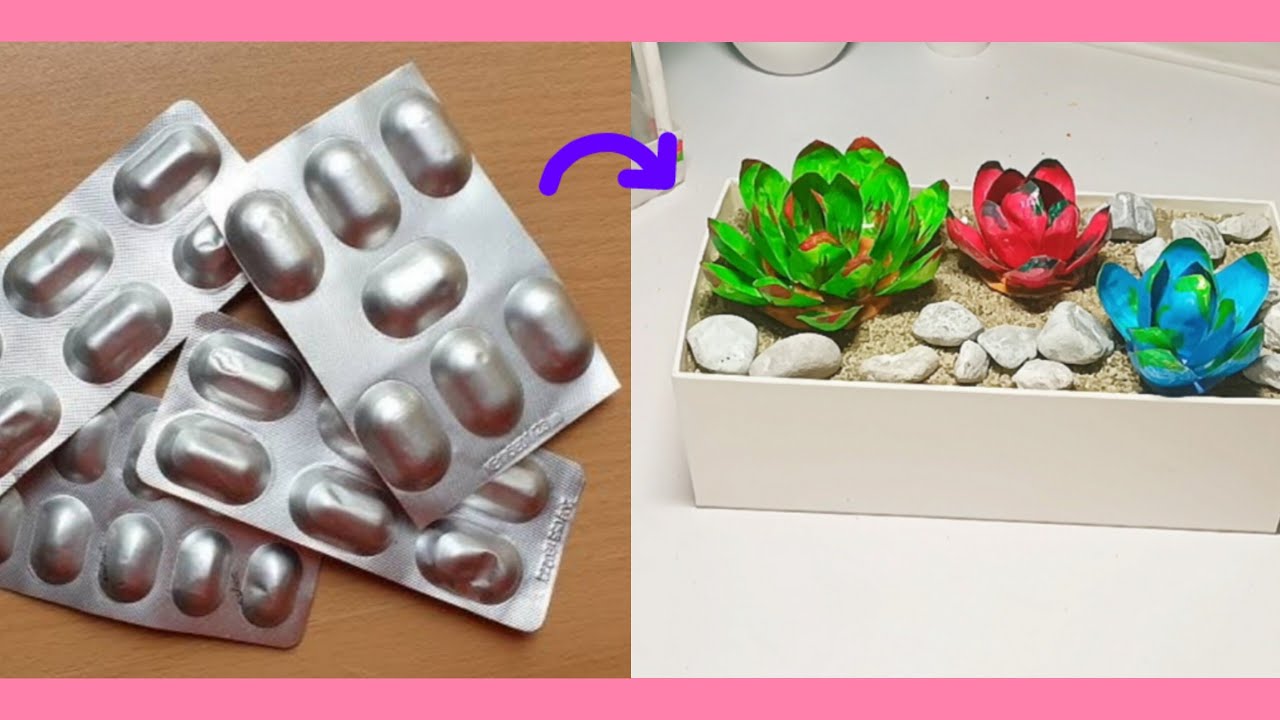 DIY Succulent Plant from Waste Materials...