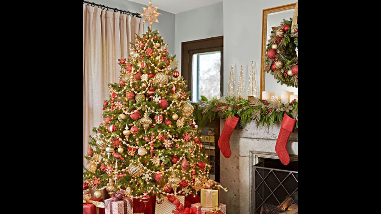 LET'S GO SHOPPING FOR AFFORDABLE CHRISTMAS TREES - AT HOME STORE 