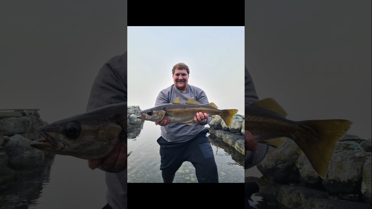 Fishing from the shore in Norway !!! 