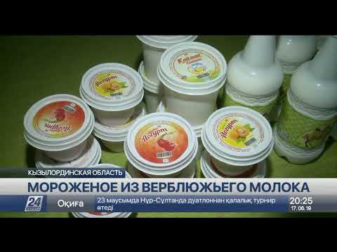 Мороженое из верблюжьего молока производят в Приаралье