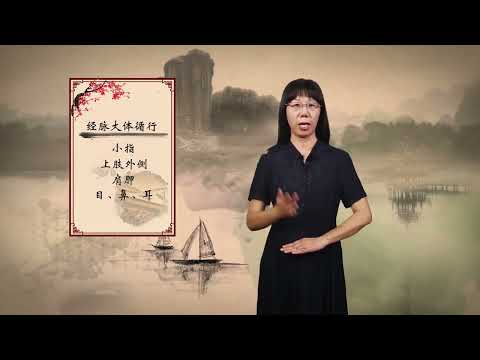 3.11 circulation of the small intestine meridian of hand Taiyang