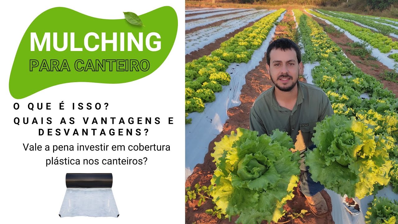 Mulching no Canteiro. Você Conhece? Melhore sua produção na Horta