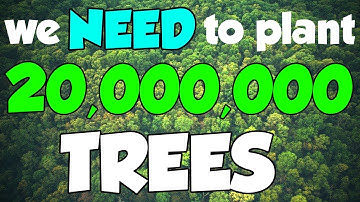 This is why we NEED to plant 20,000,000 TREES #TeamTrees