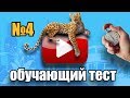 #4 Обучающий тест на знание английского языка