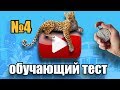 #4 Обучающий тест на знание английского языка