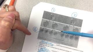 AP Chapter 12 Part 2b