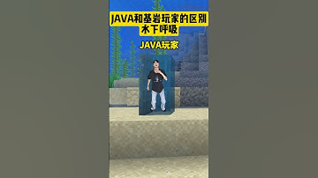 【minecraft】JAVA和基岩玩家的区别之水下呼吸#minecraft  #minecraftmemes #gaming