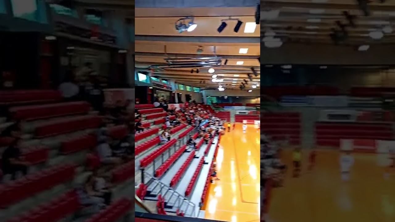 Groundhopping SCHARRena Stuttgart: Stuttgarter Futsal Club - TSV Weilimdorf 8:1