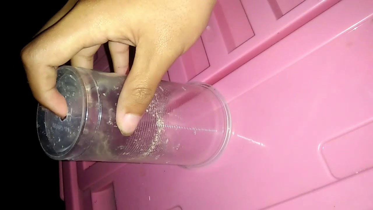 Rehousing my OBT(Orange Baboong Tarantula)