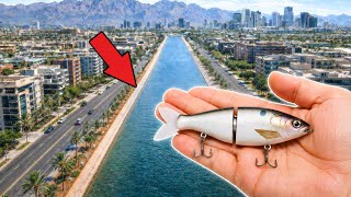 Fishing MICRO Swimbaits for BIG Fish
Will Small Swimbaits Catch Big Fish? Lets Find Out
Help me get to 20,000 Subs!
Adaptive Baits
https://www.adaptivebaits.com
Okuma Fishing USA
https://okumafishingusa.com/?utm_sour...
LIKE & SUBSCRIBE
INSTAGRAM: sw.fishing101
FILLM/EDIT EQUIPMENT
GoPro 7 And 8
Sony A6400
#fishing #bassfishing #outdoors Fishing MICRO Swimbaits for BIG Fish