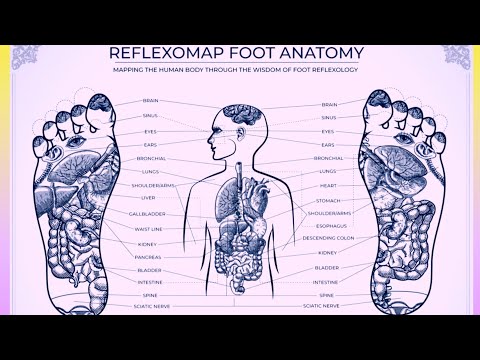 Reflexology Therapy // Detox foot 👣 massage therapy video // Reflexology Therapy Benefits //#live