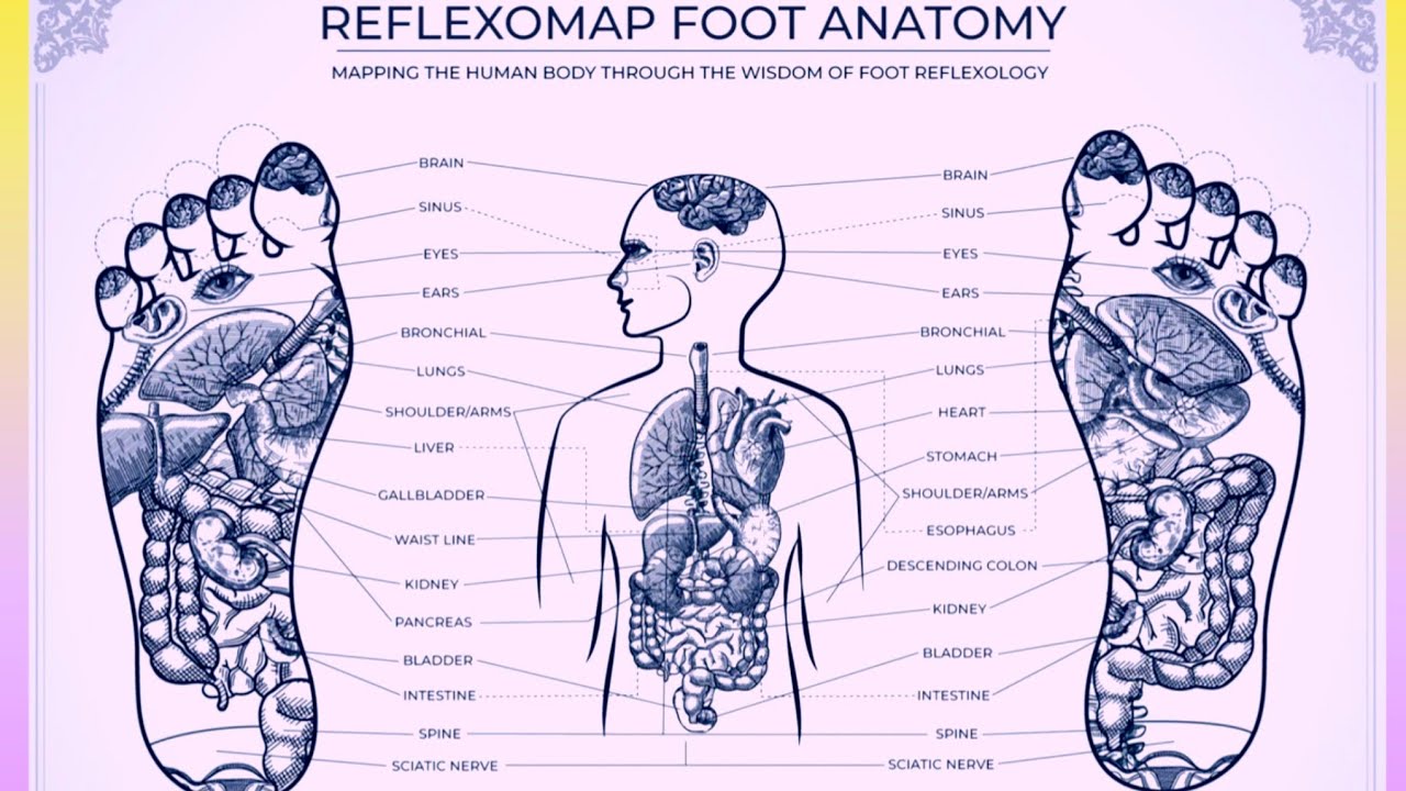 Reflexology Therapy // Detox foot 👣 massage therapy video // Reflexology Therapy Benefits //
