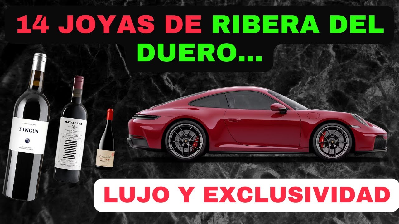 ➡️ Los14 MEJORES Vinos de Ribera del Duero. ¡El Lujo de los Vinos Tintos!