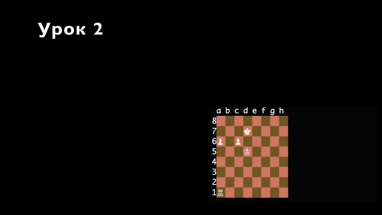 Шахматный питон. Шахматы и программирование. Шахматы на Python код.