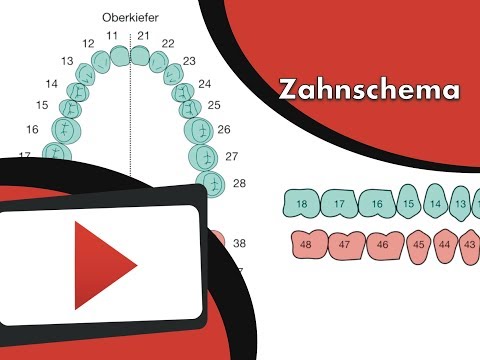 Video: Wie werden überzählige Zähne nummeriert?