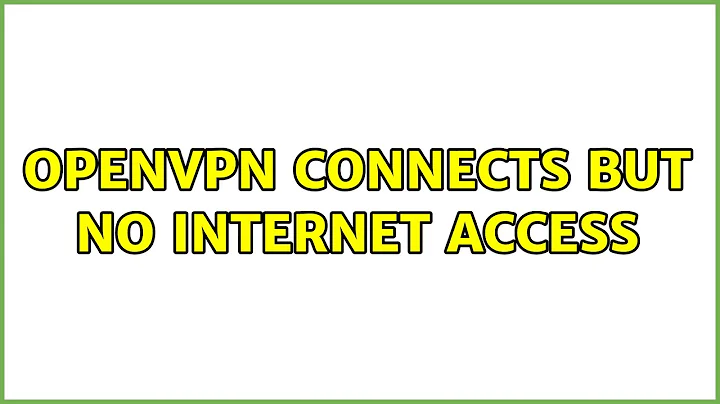 OpenVPN connects but no internet access (2 Solutions!!)