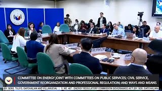 Senate Hearing on Energy Regulatory Commission Governance Act