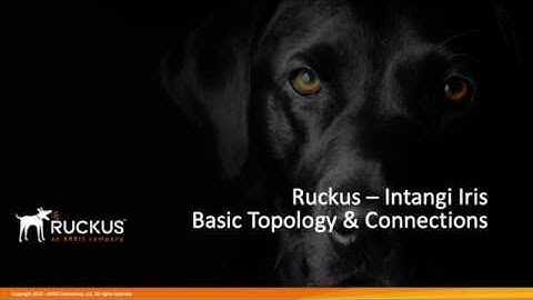Ruckus - Intangi Iris Part 5 - Basic Topology and Connections