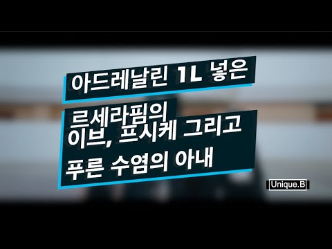 르세라핌 곡에 아드레날린 1L 부으면 생기는 일 [편곡]