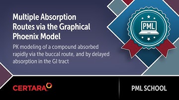 PML School: Multiple Absorption Routes via the Graphical Phoenix Model