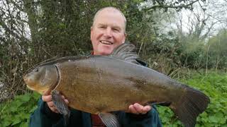 First session 2019 tench fishing