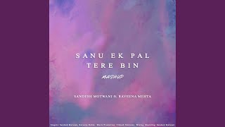 Tere Bin / Sanu Ek Pal Chain