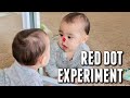 Baby Red Dot Experiment at 7 Months! - itsjudyslife