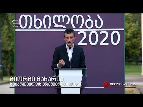 თხილის მოსავალი სამეგრელოში - „თხილობა 2020“